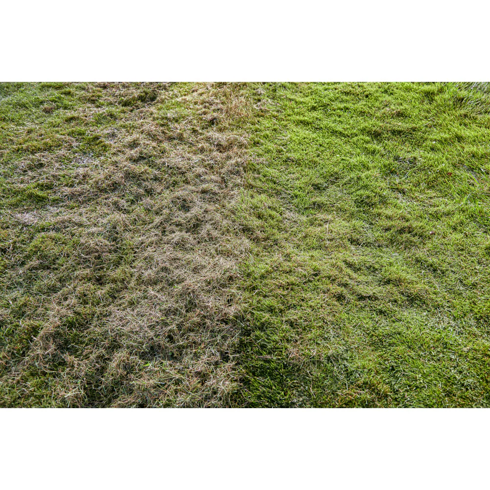 18V ONE+ HP Brushless 14" Dethatcher/Aerator Kit - Image 7